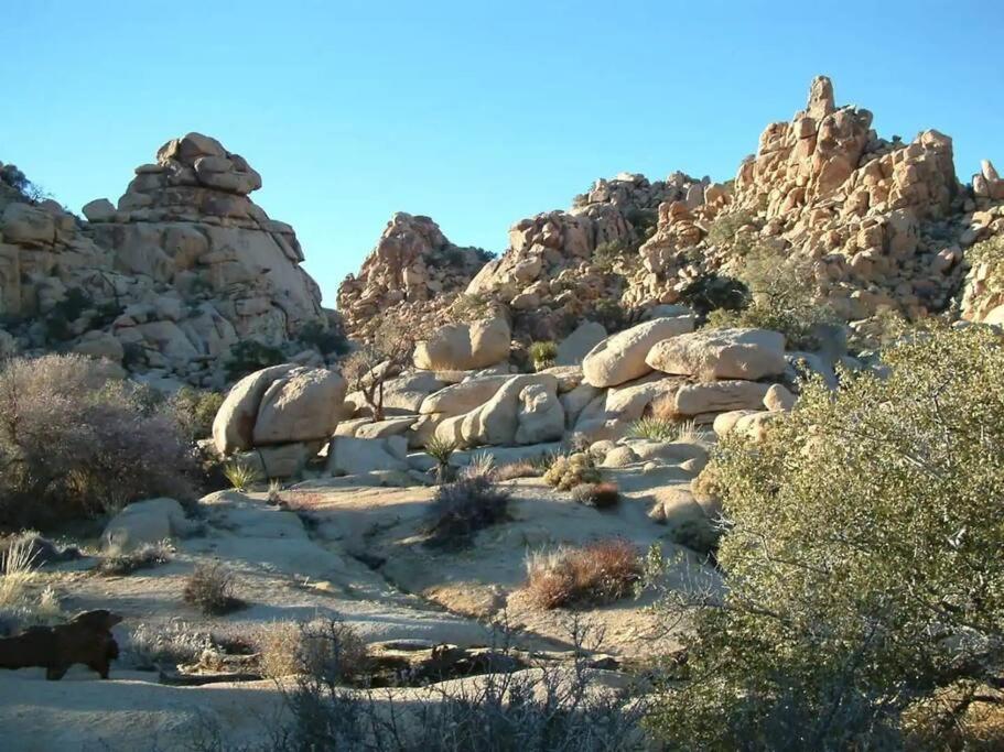The Outpost Joshua Tree: Hot Tub, Gameroom, Jtnp *