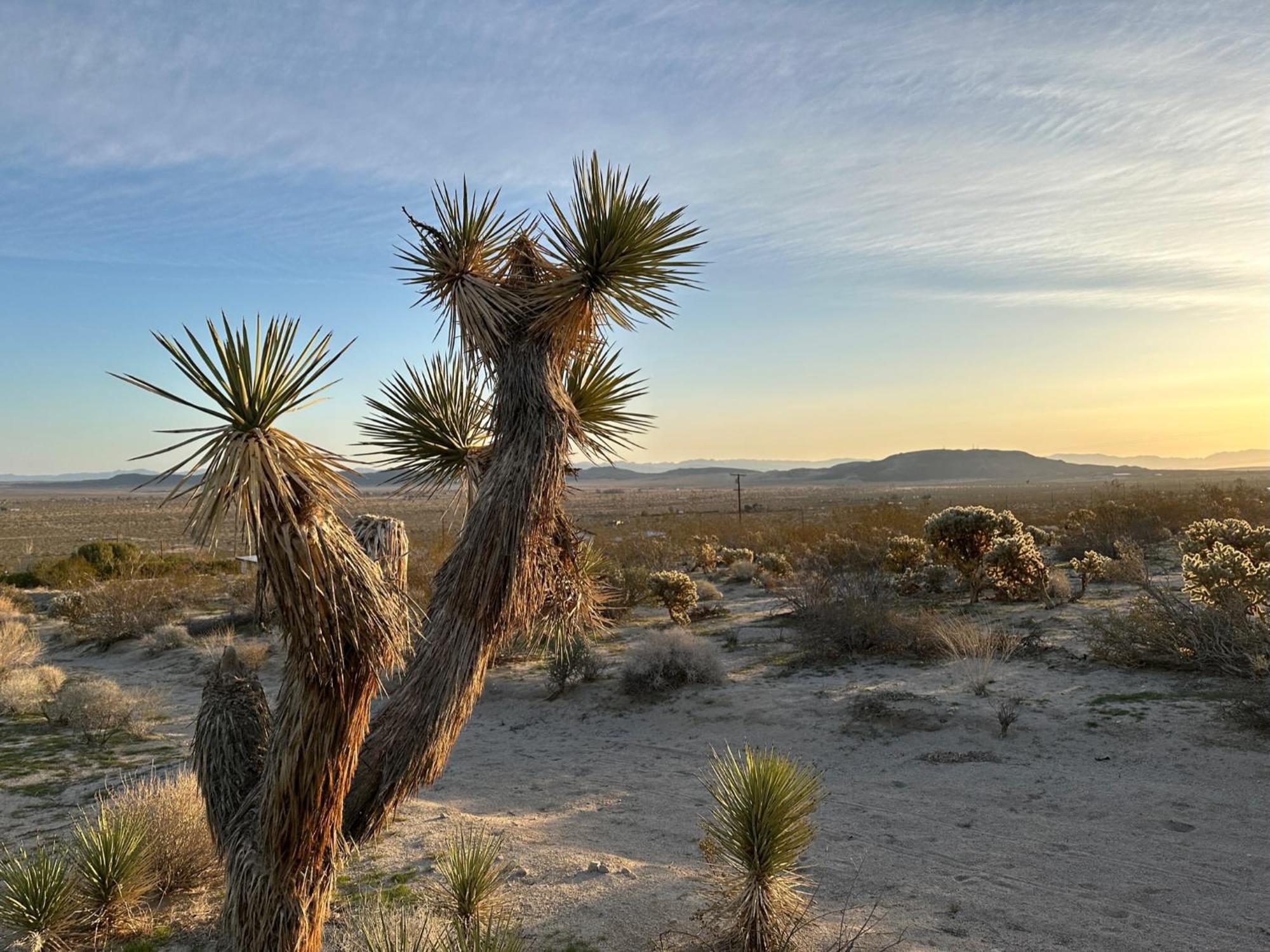 The Outpost Joshua Tree: Hot Tub, Gameroom, Jtnp Holiday home