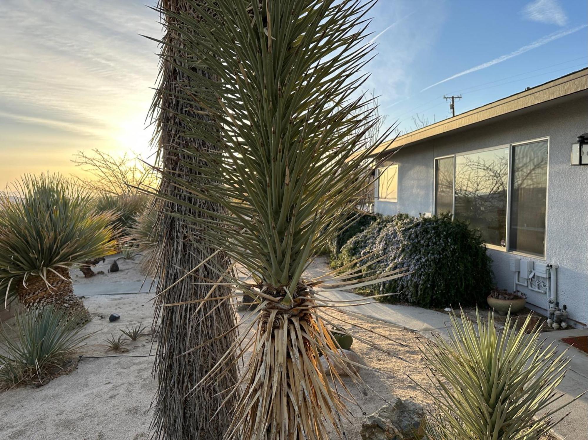 The Outpost Joshua Tree: Hot Tub, Gameroom, Jtnp Holiday home