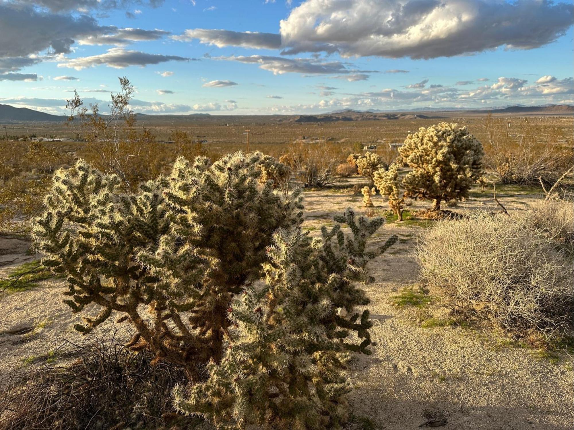 The Outpost Joshua Tree: Hot Tub, Gameroom, Jtnp Holiday home *